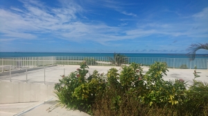 DSC_0564 (2500x1406).jpg